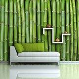  Tapeta - Bamboo wall 450x270 Cijene