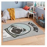Conceptum Hypnose tepih Hmi Kdc-116, pravokutni, 140 x 220 cm, siva | Eponuda.ba
