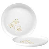 Pure Gold Berries - Tanjir - Pure Gold Berries, Matte