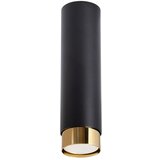 Nice Lamps Črna/v zlati barvi stropna svetilka Crown – | Shoptok.si