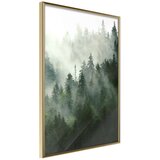 Poster - Steaming Forest 30x45 | shoptok.hr