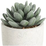 Eglo living veštačko cveće chitose 428011 | Eponuda.com