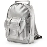 silver sheen ranac