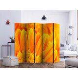 Artgeist Paravan Yellow Gerbera Daisies Ii, 5-Delni, Dvostranski | Shoptok.si