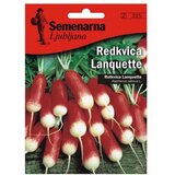 Semenarna KORENOVKA REDKVICA LANQUETTE V MALI VREČICI | Shoptok.si