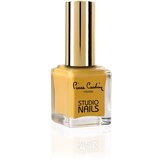 Pierre Cardin Studio Nails - lak za nokte | shoptok.hr