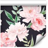  Tapeta - Peonies on graphite background 50x1000 | shoptok.hr