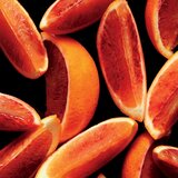 Polo Ralph Lauren Polo Red Rush toaletna voda za moške 40 ml | Shoptok.si