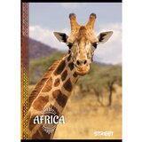  Bilježnica Street Young A4 karo 5 mm | shoptok.hr