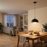 Brilagi Luster na sajli COSMO 1xE27/60W/230V Ø 30 cm crna | Eponuda.com