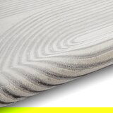 Think Rugs Svijetlo sivi/krem tepih 80x150 cm Apollo – | shoptok.hr