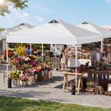  Zložljivi vrtni paviljon 3 x 3 m s 4 vrečami za pesek, klini in vrvmi, več barv | Shoptok.si