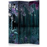  Paravan u 3 dijela - Mysterious night [Room Dividers] 135x172 Cijene