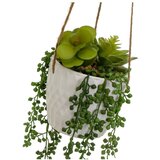 Casa Selección Umetna rastlina (višina 40 cm) – | Shoptok.si