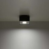  Stropna svetilka MONO 1 črna, (21347526) | Shoptok.si