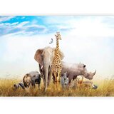 Artgeist FOTOTAPETA | Shoptok.si