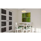  Slika - Bamboos 60x60 | shoptok.hr