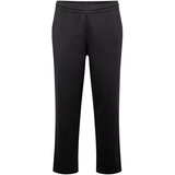 Champion Authentic Athletic Apparel Sportske hlače 'American' crna | shoptok.hr