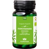 Cosmoveda kanchanara Guggulu kapsule Bio - 80 kaps. Cene