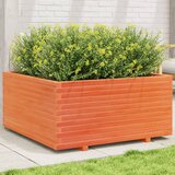  Vrtna sadilica voštano smeđe boje 100x100x49,5 cm od borovine | shoptok.hr