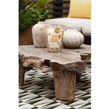 Baobab Collection Tomorrowland dišeča sveča 24 cm | Shoptok.si