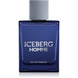 Iceberg Homme parfumska voda za moške 100 ml Cene