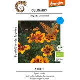  Žametnica "Kolibri" - 1 pkt. Cene