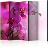 Artgeist PARAVAN 225/172/3 cm barve gozdnih sadežev, magenta Slike