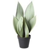 Eglo living veštačka biljka Tobetsu 428387 | ePonuda.com