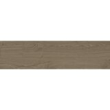 Argenta namir brown 30x120cm Cene