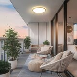  Brilagi - LED kupatilska svetiljka ULTRA SLIM LED/24W/230V prečnik 42 cm zlatna IP54 | Eponuda.com