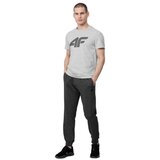 4f TSM353 Siva | shoptok.hr