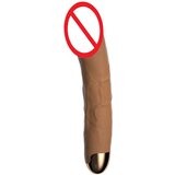Laile Električni realistični Dildoti 42406796 USB ABS 360°, (21691466) | Shoptok.si