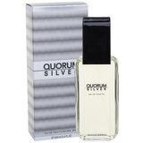 Antonio Puig Quorum Silver 100 ml toaletna voda za moške Cijene