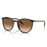 Ray-ban Sončna očala 0RB2204 Havana 902/51 cene