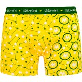 Frogies Men's boxers Zodiac Dvojček 2P Gift box | Shoptok.si