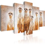  Slika - Family of meerkats 200x100 | shoptok.hr