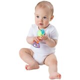 Playgro svetleća zvečka pingvin ( 32646 ) | Eponuda.com
