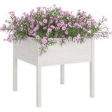 vidaXL Vrtno cvetlično korito 2 kosa belo 70x70x70 cm trdna borovina | Shoptok.si