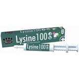  Lysine 100 pasta 30 ml Cene