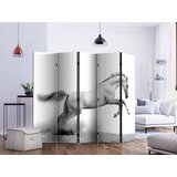 Artgeist PARAVAN 225/172/3 cm siva, bela | Shoptok.si
