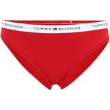Tommy Hilfiger Underwear Plus Spodnje hlačke rdeča / bela