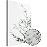  Slika - Eucalyptus Parvifolia (1 Part) Vertical 80x120 | shoptok.hr