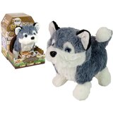  Interactive Husky Dog Mascot Walks Moves Tail Sound Cijene