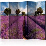  Paravan u 5 dijelova - Lavender field in Provence France II [Room Dividers] 225x172 Cijene