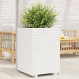 Maison Chic Vrtno cvetlično korito - Cvetlični Lonec belo 50x50x72 cm trdna borovina, (21788655) | Shoptok.si