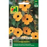 AUSTROSAAT Črnooka suzana Cene