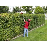 Einhell GE-HC 18 Li T-Solo | Shoptok.si