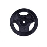 Gorilla Sports liveni teg sa rukohvatima 20 kg, 30/31 mm, crni Cene