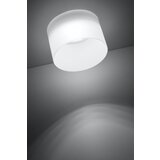 Candellux tube 1X50W GU10 zaleđena 7,8 cm | Eponuda.com